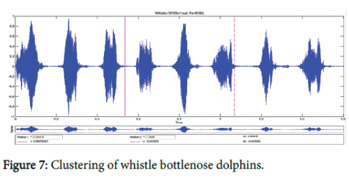 marine-science-research-development-whistle-bottlenose