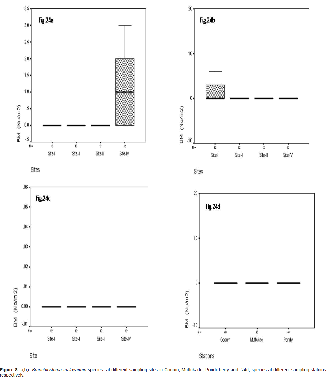 marine-science-research-different-sampling-sites-Cooum