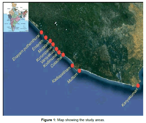 marine-science-research-study-areas