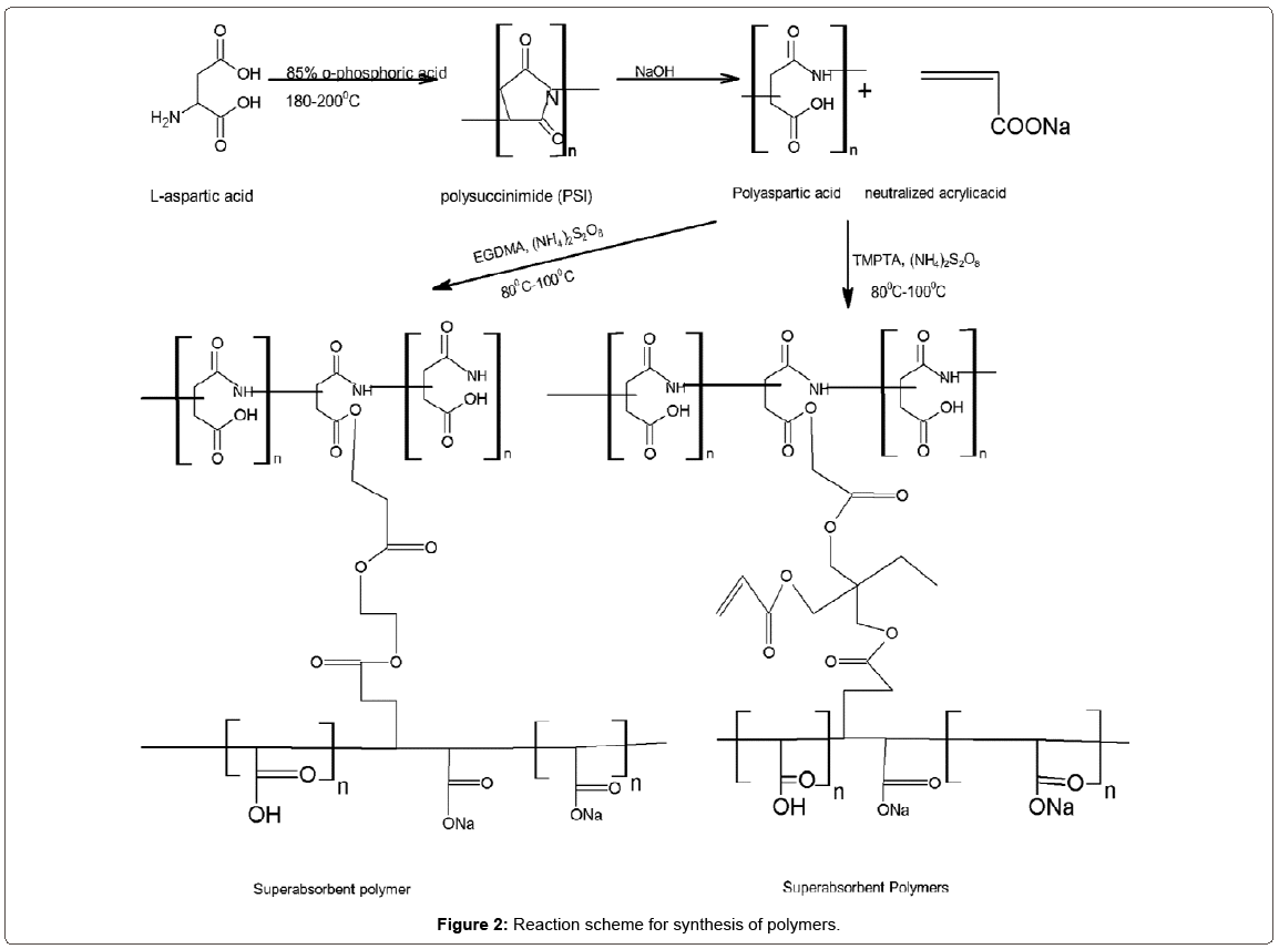 Material Science Synthesis Polymers