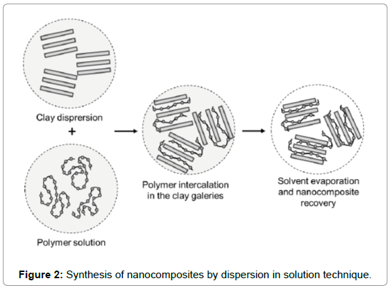 Polymer Clay Nanocomposites And Composites Structures - 