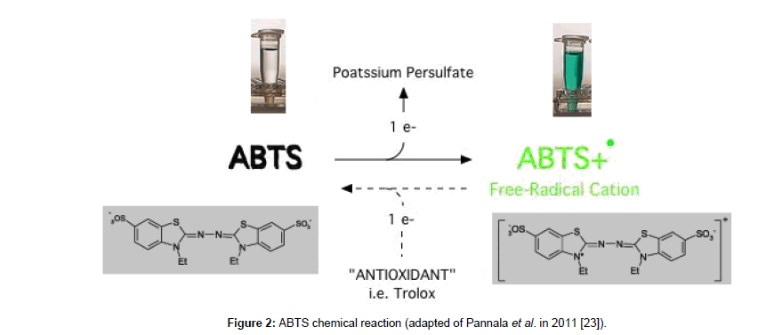 dpph assay for antioxidant activity principle meaning