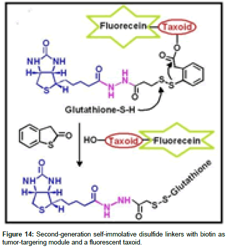 medicinal-chemistry-generation-self-immolative