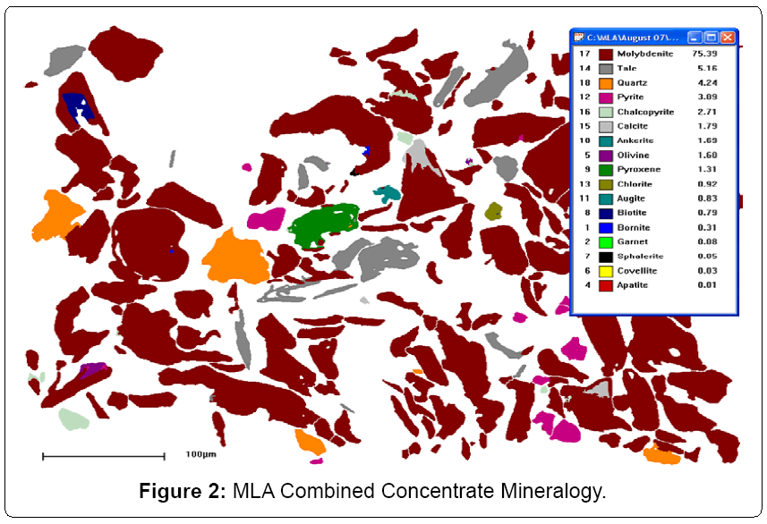 metallurgy-mining-MLA-Combined