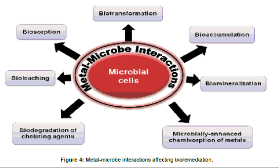 microbial-biochemical-technology-microbe-interactions