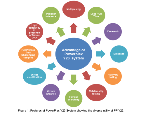 Molecular-biomarkers-diagnosis-Power-Plex