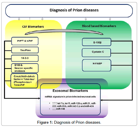 Novel Biomarkers And The Diagnosis Of Prion Diseases Omics - 