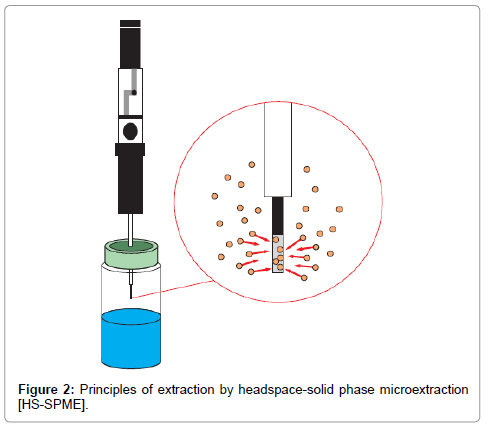 Solid Phase Microextraction Spme Method Development In - 