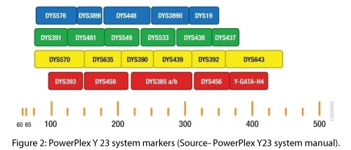 Molecular-biomarkers-diagnosis-system-markers