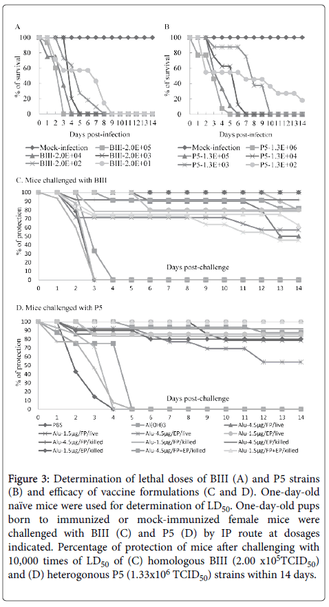 molecular-immunology-lethal-strains