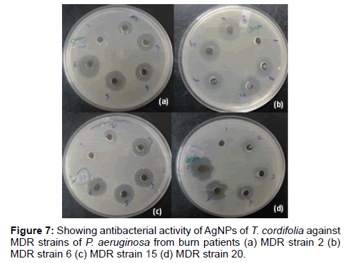 online b karnataka extract nanotechnology strains nanomedicine patients antibacterial