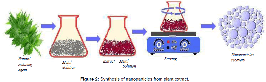 Synthesis Of Silver Nanoparticles From Plants