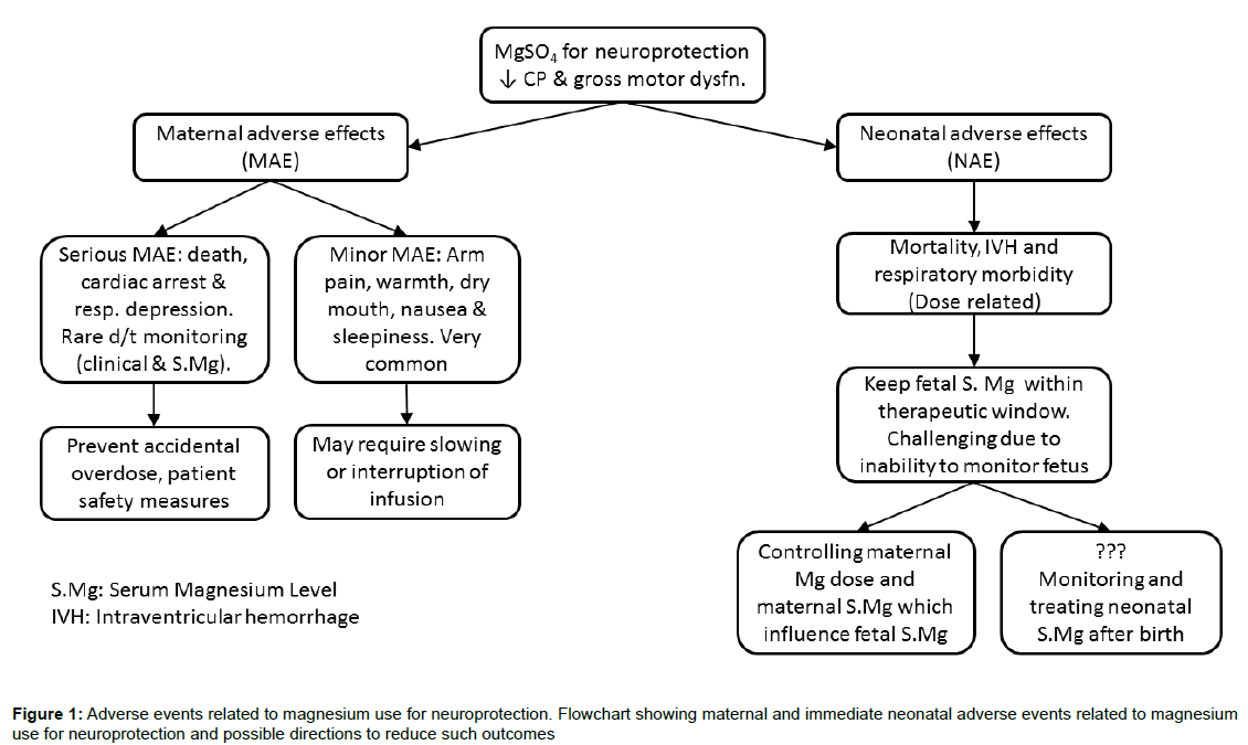 Neonatal-biology-magnesium-use