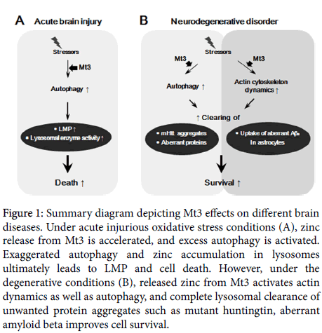 neuroinfectious-diseases-rutinoside-sutherlandin