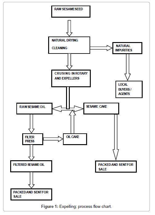 Food Process Flow Chart