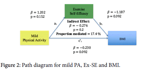 obesity-weight-loss-therapy-Path-diagram-mild-PA