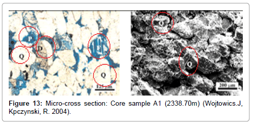 oil-gas-research-Micro-cross-Core-sample-A1