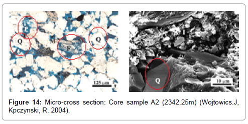 oil-gas-research-Micro-cross-Core-sample-A2