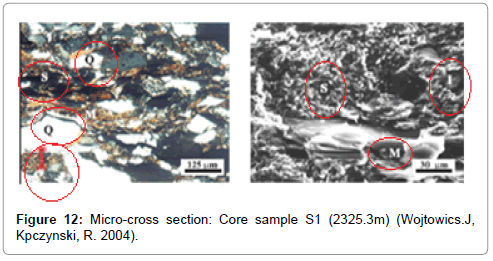 oil-gas-research-Micro-cross-Core-sample-S1