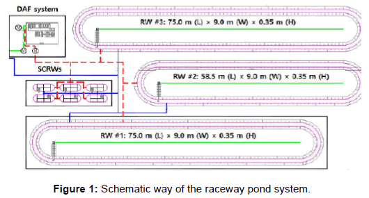 oil-gas-research-raceway-pond-system