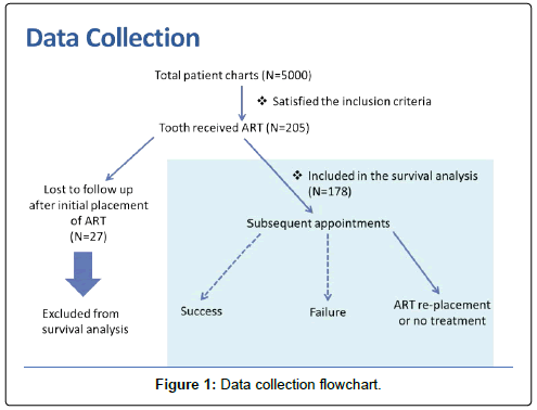 oral-hygiene-health-data-collection-flowchart