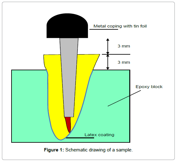 oral-hygiene-health-schematic-drawing-sample