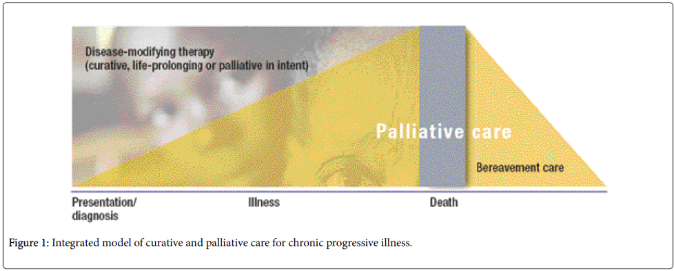 palliative-care-medicine-Integrated-model