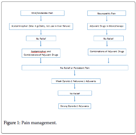 palliative-care-medicine-Pain-management