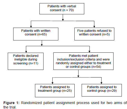 palliative-care-medicine-Randomized-patient-assignment-process