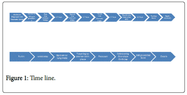 palliative-care-medicine-Time-line