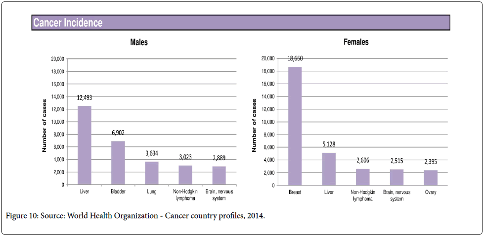 palliative-care-medicine-World-Health