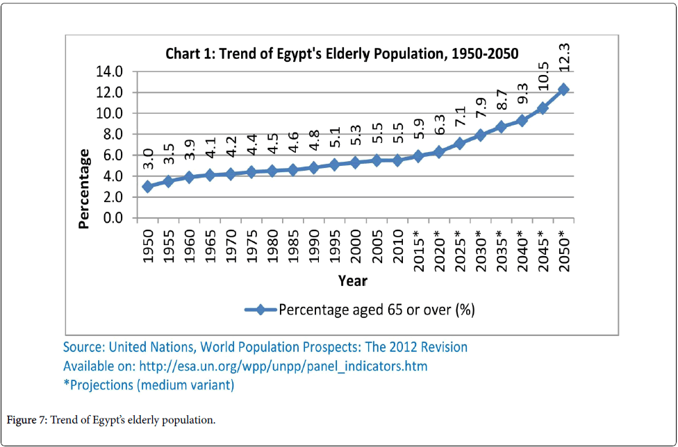 palliative-care-medicine-elderly-population