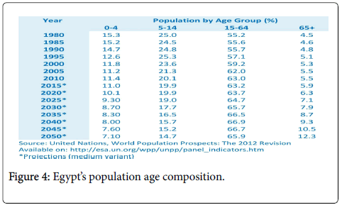 palliative-care-medicine-population-age