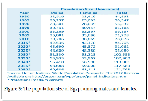 palliative-care-medicine-population-size-Egypt