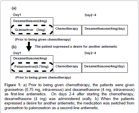 palliative-care-medicine-second-line