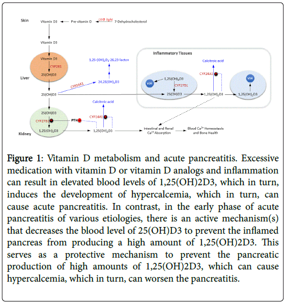 vitamin d pancreatitis 