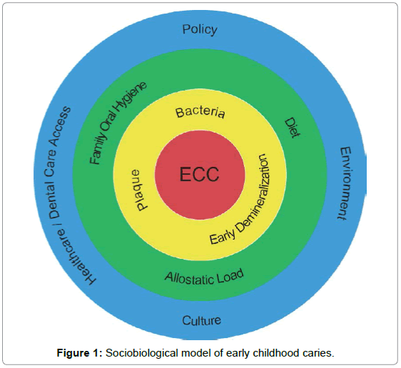 pediatric-dental-care-sociobiological-childhood-caries