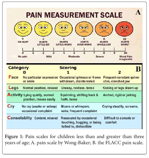 flacc-pain-scale-chart-printable