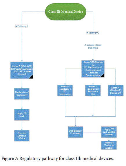 pharmaceutical-regulatory-Regulatory-class