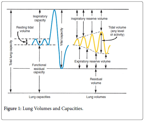amplitude of lung sounds