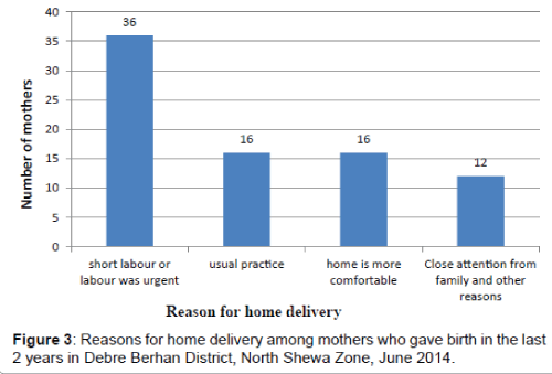 pregnancy-and-child-health-home-delivery