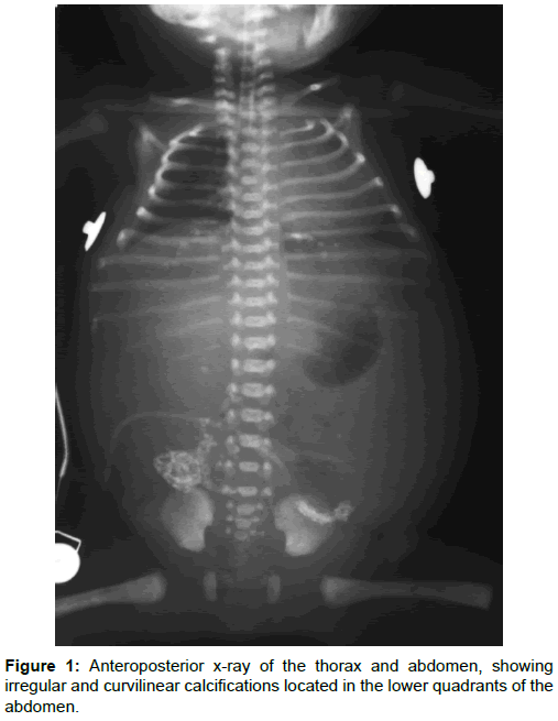 radiology-thorax-abdomen