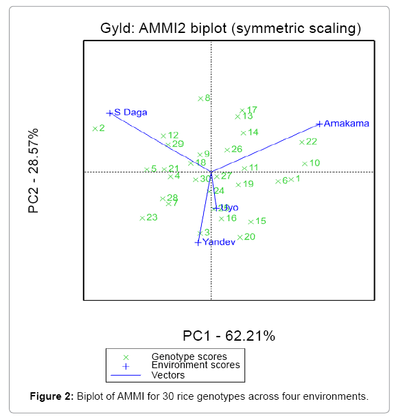 rice-research-Biplot-AMMI