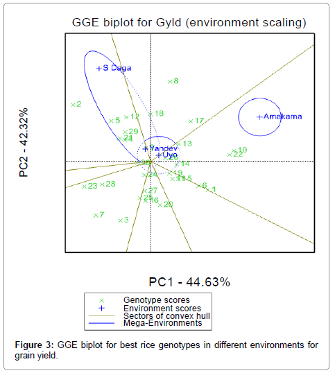 rice-research-GGE-biplot