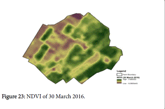 rice-research-NDVI-March