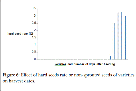 rice-research-hard-seeds