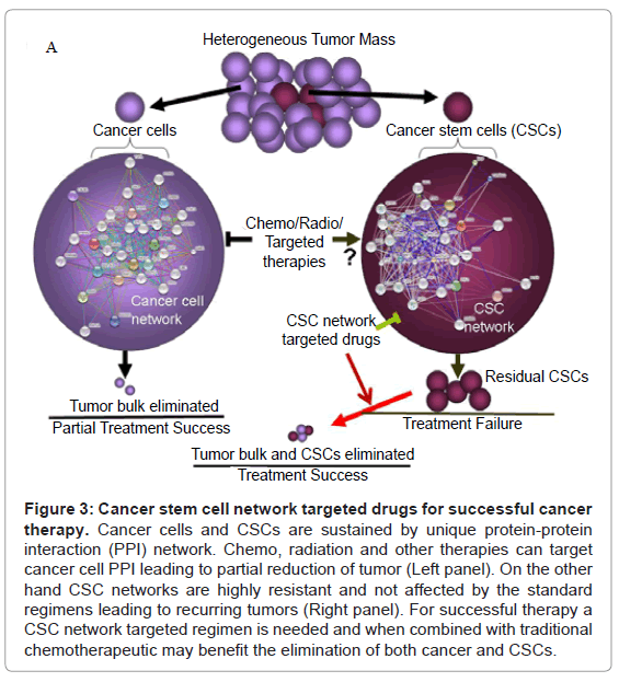 stem-cell-research-therapy-network-Chemo-radiation