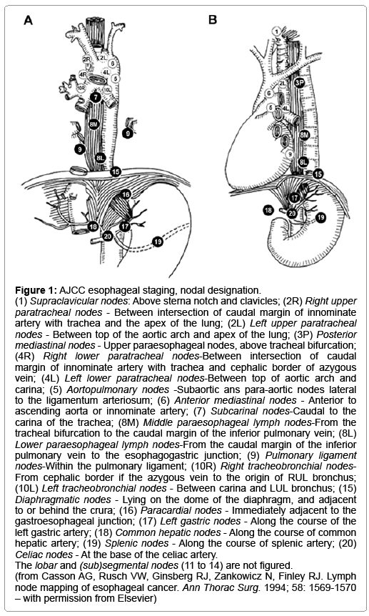 surgery-esophageal-staging