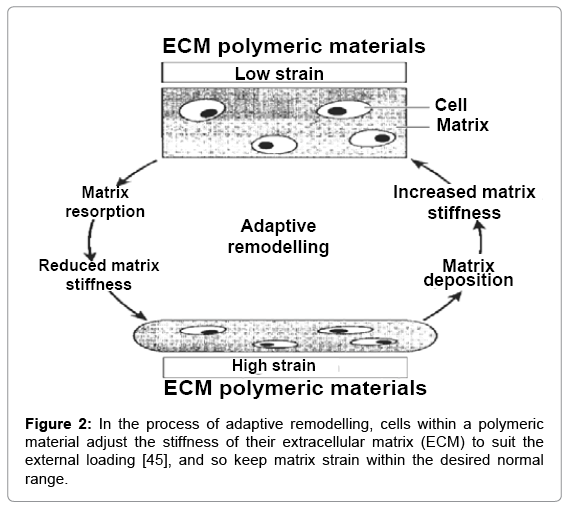 The Principles Of Engineering Materials Barrett Pdf To Word