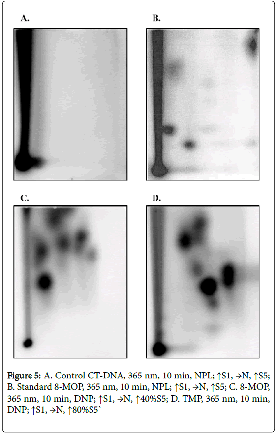 toxicology-Control-CT-DNA